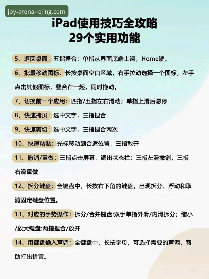 半年实测经验：乐竞app安装教程与使用心得，从入门到精通全指南